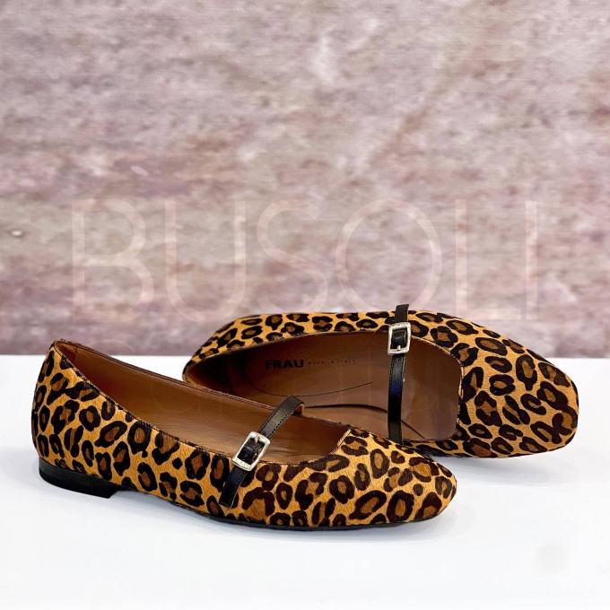 Ballerina flat maculata