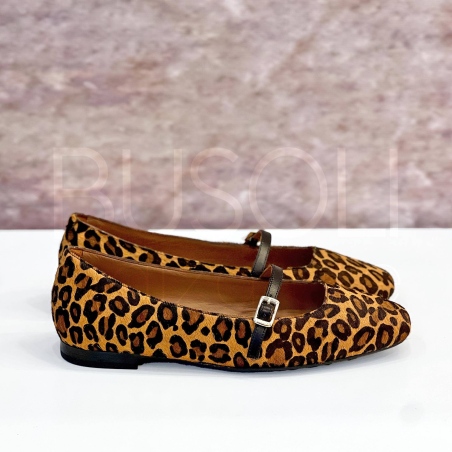 Ballerina flat maculata
