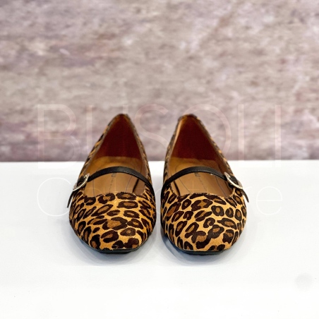 Ballerina flat maculata